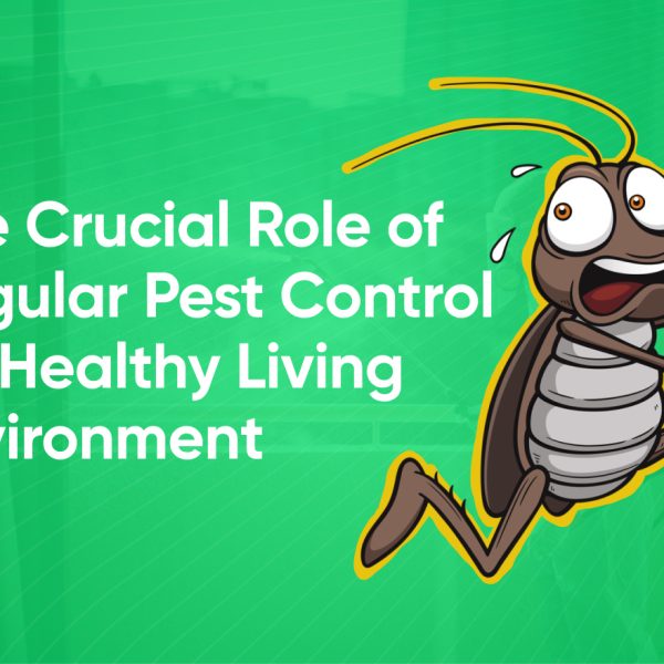 the crucial role of regular pest control for healthy living environment