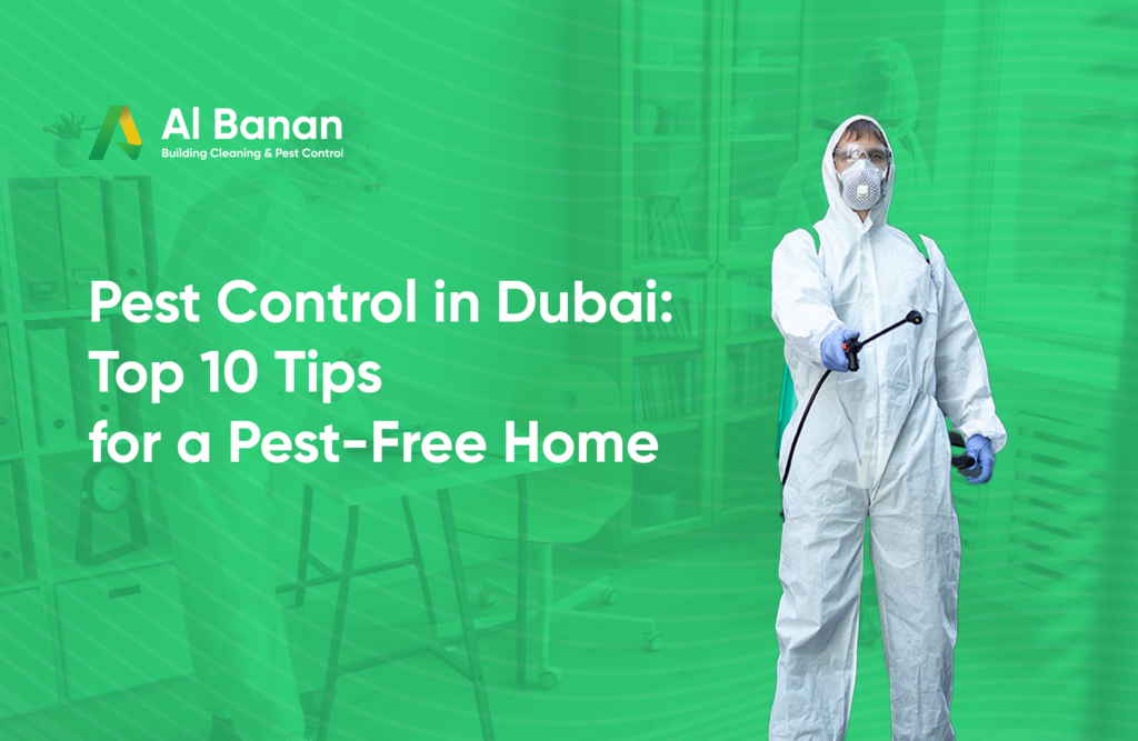 Pest Control in Dubai: Top 10 Tips for a Pest-Free Home.