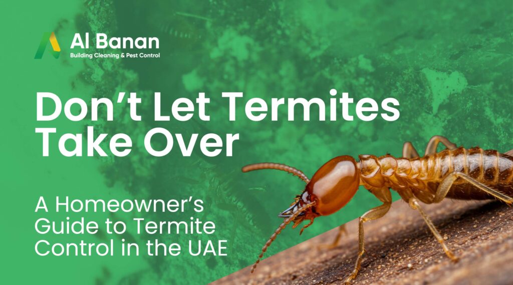 Don’t Let Termites Take Over: AHomeowner’s Guide to TermiteControl in the UAE