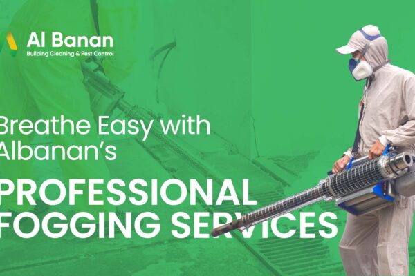 Pest Control Services in Dubai
