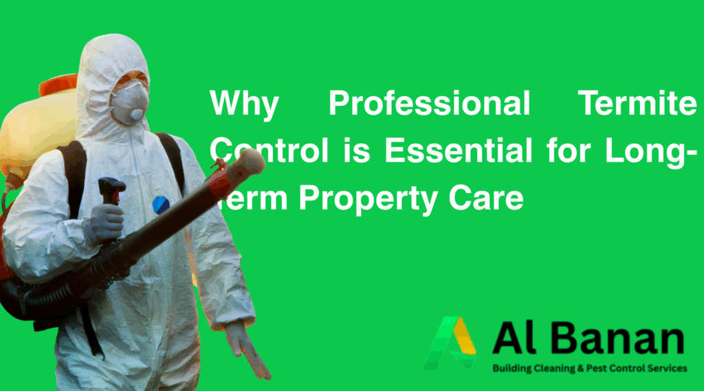  Why Professional Termite Control is Essential for Long-Term Property Care
